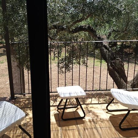 Masia La Candelera L'Ametlla de Mar Oda fotoğraf
